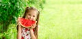 Smiling little girl with blue eyes eats a slice of watermelon Royalty Free Stock Photo