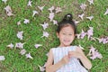 Smiling little girl lying on green grass with fall pink flower in the garden outdoor Royalty Free Stock Photo