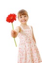Smiling little girl with red flower Royalty Free Stock Photo