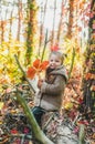 Little girl sitting in the forest with a bouquet of autumn yellow and red leaves Royalty Free Stock Photo