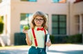 Smiling little student boy wearing school backpack and holding exercise book. Portrait of happy pupil outside the Royalty Free Stock Photo