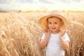 Smiling little toddler boy in straw hat holding fields standing in golden wheat field in summer day or evening Royalty Free Stock Photo