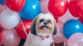 Smiling long hair shih tzu dog holiday with red, blue, white and pink balloons. AI Generative