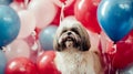 Smiling long hair shih tzu dog holiday with red, blue, white and pink balloons. AI Generative