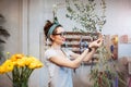 Smiling lovely young woman florist arranging plants in flower sh Royalty Free Stock Photo