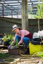 Smiling lovely young woman florist arranging plants in flower shop. The hobby has grown into a small business. Royalty Free Stock Photo