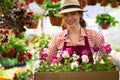 Smiling lovely young woman florist arranging plants in flower shop. The hobby has grown into a small business. Royalty Free Stock Photo