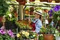 Smiling lovely young woman florist arranging plants in flower shop. The hobby has grown into a small business. Royalty Free Stock Photo