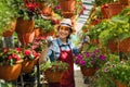 Smiling lovely young woman florist arranging plants in flower shop. The hobby has grown into a small business. Royalty Free Stock Photo