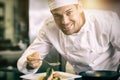Smiling male chef garnishing food in kitchen Royalty Free Stock Photo
