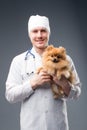 Smiling male vet with phonendoscope holding cute pomeranian dog Royalty Free Stock Photo