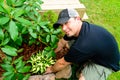 Smiling Man Planting and landscaping Royalty Free Stock Photo