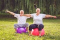 Mature couple doing fitness exercises on fitness ball in park Royalty Free Stock Photo