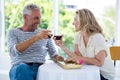 Smiling mature couple toasting red wine Royalty Free Stock Photo