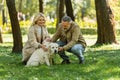 Smiling mature man petting labrador near Royalty Free Stock Photo