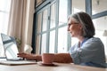 Smiling mature middle aged woman using laptop computer sitting at workplace. Royalty Free Stock Photo