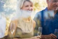 Smiling mature woman with friends holding wineglasses