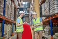 Joyous warehouse staff standing among the pallet racks with goods Royalty Free Stock Photo