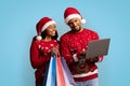 Smiling black shopaholics enjoying Christmas sales, using laptop