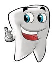 Smiling molar tooth Royalty Free Stock Photo