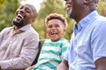 Smiling Multi-Generation Male Family At Home In Garden Together Royalty Free Stock Photo