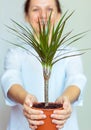 Smiling office worker girl holding a potted plant Royalty Free Stock Photo