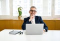 Smiling optimistic mature gray-haired businessman ceo wearing eyeglasses using laptop Royalty Free Stock Photo