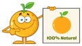 Smiling Orange Fruit Cartoon Mascot Character Pointing To A 100 Percent Natural Sign