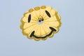 Smiling parasail Royalty Free Stock Photo