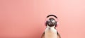 Smiling penguin wearing headphones on pastel background with copy space for text placement