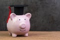 Smiling pink piggy bank wearing graduated hat on wooden table with dark black background and copy space, education fund, Royalty Free Stock Photo