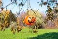 Smiling plastic Halloween pumpkin basket hanging on tree branch with autumn withered leaves on background of park with green grass