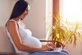 Smiling pregnant woman working on laptop on couch at home Royalty Free Stock Photo