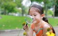 Smiling pretty little Asian child girl with magnifying glass looks at flower in summer park Royalty Free Stock Photo