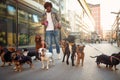 Smiling dog walker man in the street with lots of dogs Royalty Free Stock Photo