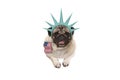 Smiling pug puppy dog holding American flag, hanging on white banner, wearing lady Liberty crown Royalty Free Stock Photo