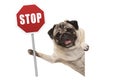 Smiling pug puppy dog holding up red traffic stop sign