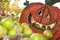 Smiling Pumpkin Royalty Free Stock Photo