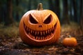 smiling pumpkin with a carved toothless grin Royalty Free Stock Photo