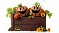 Smiling Pumpkins In Wooden Box: Horror-inspired Organic Sculpting