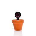 Smiling puppet appears from flower pot Royalty Free Stock Photo