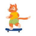 Smiling red cat riding skateboard on street