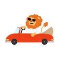 Smiling red lion in sunglasses sitting and driving red vintage car