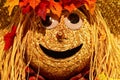 Smiling Scarecrow Face Royalty Free Stock Photo