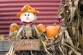 A Smiling Scarecrow with Give Thanks sign Royalty Free Stock Photo