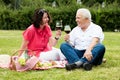 Couple Drinking Wine In Park Royalty Free Stock Photo