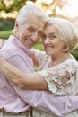 Smiling senior couple embracing in autumn park Royalty Free Stock Photo