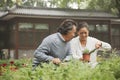 Smiling senior couple in garden