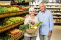 Smiling senior couple holding basket with vegetables Royalty Free Stock Photo