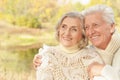 Smiling senior couple hugging in autumn park Royalty Free Stock Photo